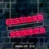 Festinha Privada - Single album lyrics, reviews, download