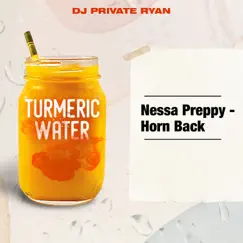 Horn Back - Single by DJ Private Ryan & Nessa Preppy album reviews, ratings, credits