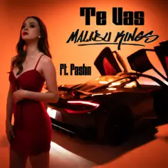 Te Vas (feat. PASHN) Song Lyrics