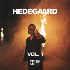 STAY (HEDEGAARD) Song Lyrics