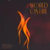 World On Fire (feat. Nigel Rojas) - Single album lyrics, reviews, download