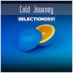 Cold Journey Selection 2021 by Various Artists album reviews, ratings, credits