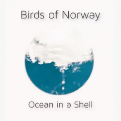 Ocean in a Shell - Single by Birds of Norway album reviews, ratings, credits