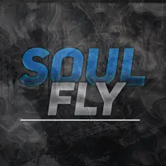 Soul Fly - Single by Shelx album reviews, ratings, credits