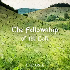 The Fellowship of the Lofi by Collosia album reviews, ratings, credits