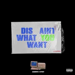 Dis' Aint What You Want (feat. Esparo) Song Lyrics