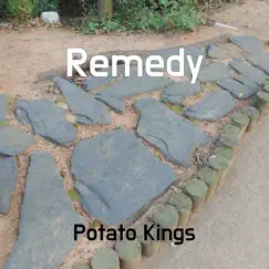 Remedy - Single by Potato Kings album reviews, ratings, credits