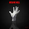 Wish Me Well - Single album lyrics, reviews, download