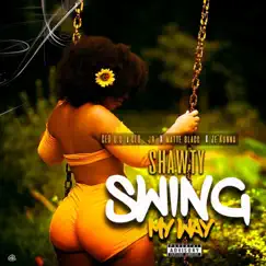 Swing My Way (feat. CEO J.R., Matte Blacc & Je'Kuanna RozeGold) Song Lyrics
