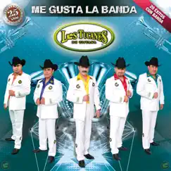 Me Gusta La Banda by Los Tucanes de Tijuana album reviews, ratings, credits
