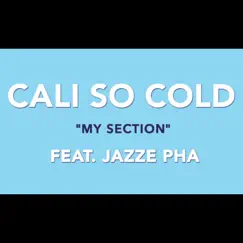 My Section (feat. Jazze Pha) Song Lyrics