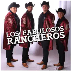 PUÑO DE DIAMANTE - Single by Los Fabulosos Rancheros De Bariloche album reviews, ratings, credits
