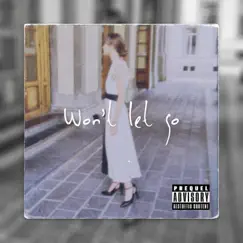Won't Let Go - Single by Manon Scherrens album reviews, ratings, credits