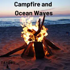 Campfire and Ocean Waves Sea Beach Camping 1 Hour Relaxing Nature Ambient Yoga Meditation Sound For Sleeping or Study by TAYEGU album reviews, ratings, credits