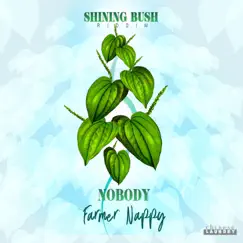 Nobody - Single by Farmer Nappy album reviews, ratings, credits
