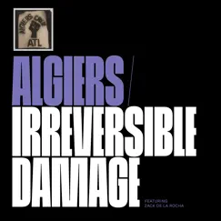 Irreversible Damage (feat. Zack de la Rocha) - Single by Algiers album reviews, ratings, credits