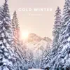 Cold Winter Ambience - Single album lyrics, reviews, download
