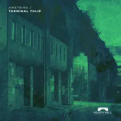 Terminal Tulip - Single by Ametrine album reviews, ratings, credits