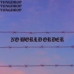 No World Order - Single by YungDrop album reviews, ratings, credits