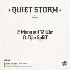 Quiet Storm (feat. Djin Spliff) - Single by 2 Mann auf 12 Uhr album reviews, ratings, credits