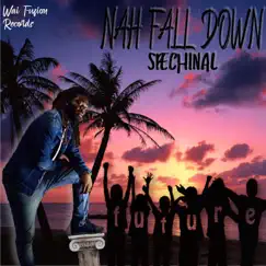 Nah Fall Down - Single by Spechinal album reviews, ratings, credits