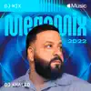 2022 MegaMix (DJ Mix) album lyrics, reviews, download