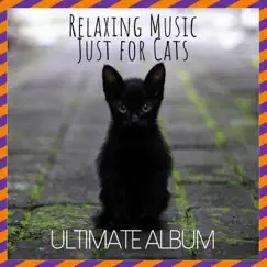 Relaxing Music Just for Cats: Ultimate Album by RelaxMyCat, Cat Music Dreams & Cat Music Therapy album reviews, ratings, credits