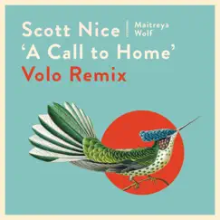 A Call to Home (feat. Maitreya Wolf) [Volo Remix] - Single by Scott Nice album reviews, ratings, credits