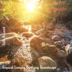 Fully Relaxed: Tropical Evening Birdsong Soundscape by Steve Brassel album reviews, ratings, credits