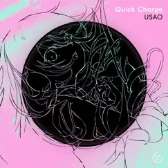 Quick Charge - Single by USAO album reviews, ratings, credits