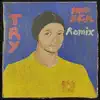 Try (Mosca Remix) - Single album lyrics, reviews, download