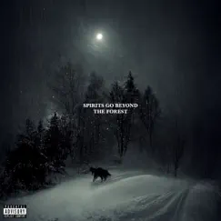Spirits Go Beyond the Forest - EP by ELEMXNT album reviews, ratings, credits