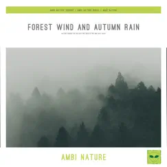 Study Sound of Forest Wind and Rain Song Lyrics