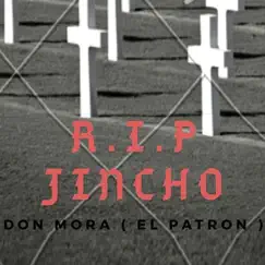 R.I.P Jincho - Single by Don Mora album reviews, ratings, credits
