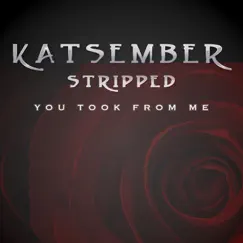 You Took from Me (Stripped) Song Lyrics