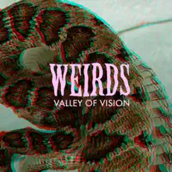 Valley of Vision - Single by Weirds album reviews, ratings, credits