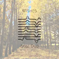 Wishes - Single by Akal Dub album reviews, ratings, credits