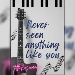 Never Seen Anything Like You (Instrumental Cover) Song Lyrics