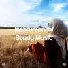 !!!" Instrumental Study Music "!!! album lyrics, reviews, download