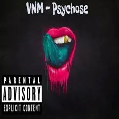 Psychose - Single by VNM album reviews, ratings, credits