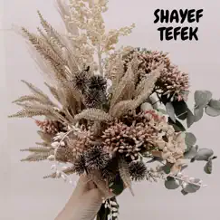 Shayef Tefek (Cover) - Single by Abra Salem album reviews, ratings, credits