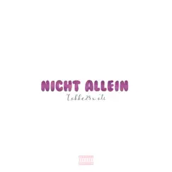 Nicht allein Song Lyrics