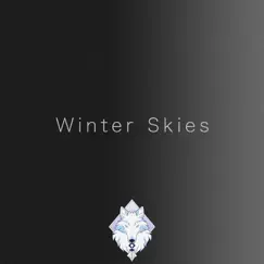 Winter Skies Song Lyrics