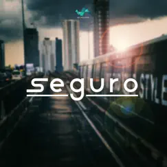 Seguro - Single by NS Records album reviews, ratings, credits