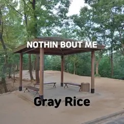 Nothin Bout Me - Single by Gray Rice album reviews, ratings, credits