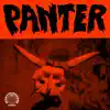 Panter (feat. Kasai Allstars & Basokin) - Single album lyrics, reviews, download