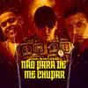 NAO PARA DE ME CHUPAR - Single album lyrics, reviews, download