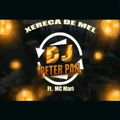 Xereca de Mel (feat. MC Mari) Song Lyrics