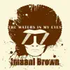 The Waters in My Eyes - Single album lyrics, reviews, download