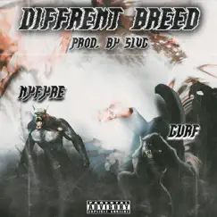 DIFFERENT BREED (feat. GURF & SLVG) Song Lyrics